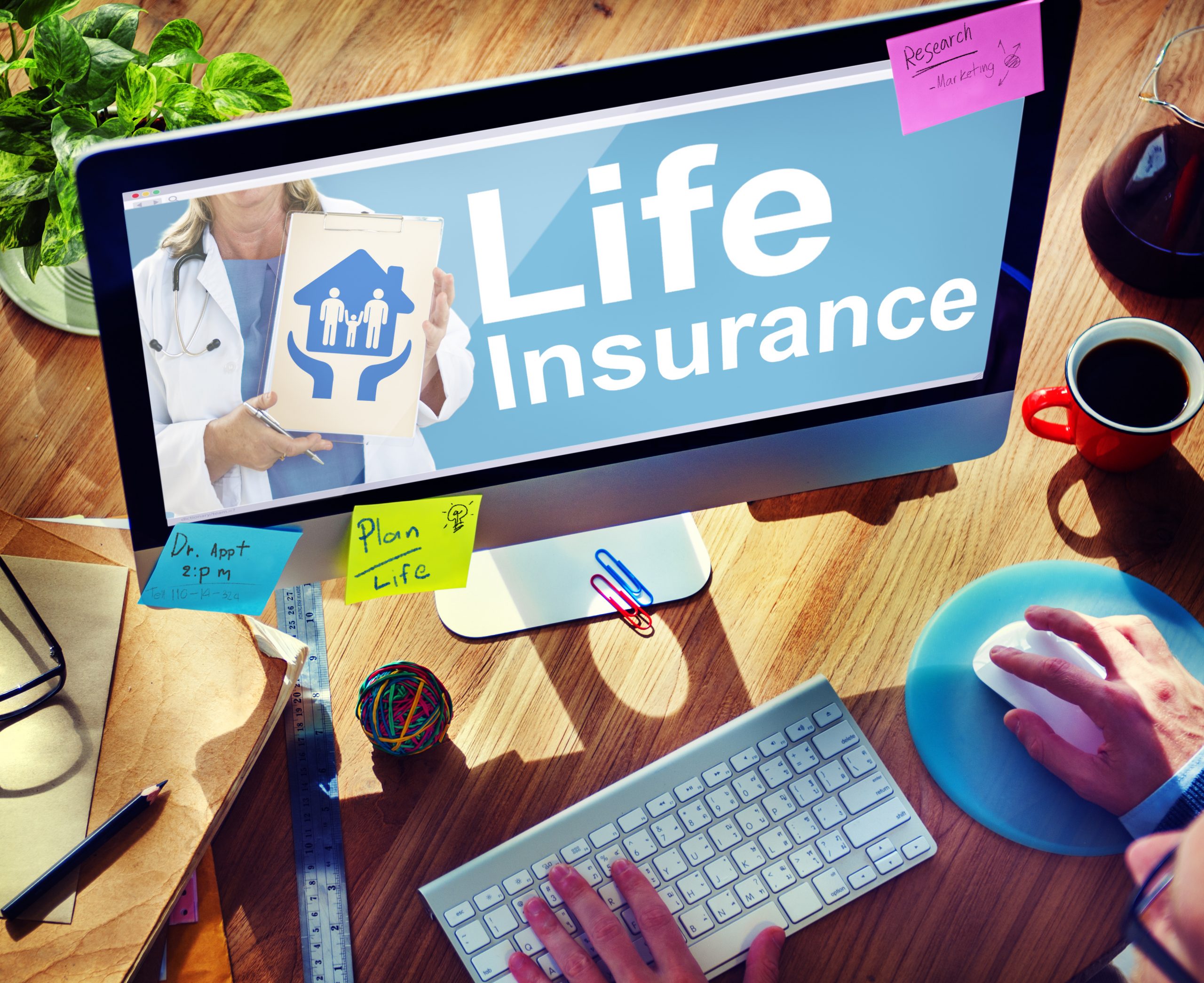 Understanding Your Life Insurance Options