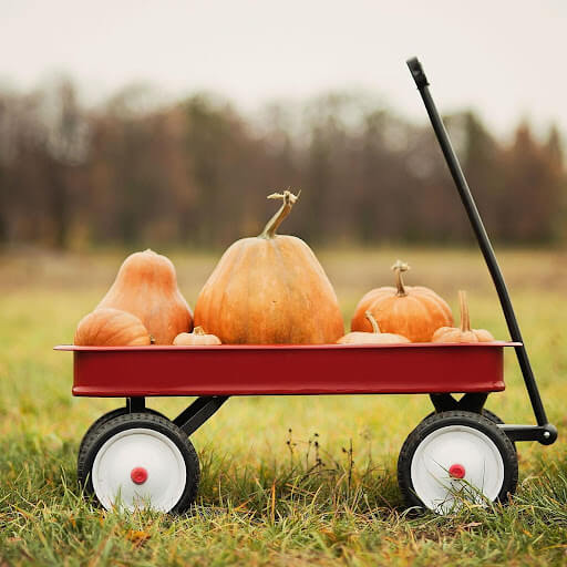 Pumpkin Kisses and Harvest Wishes