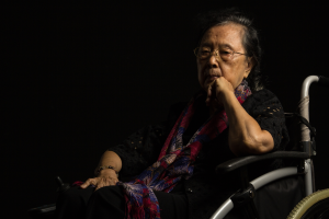 Image of an elderly person in a wheel chair with darkness around to symbolize elder abuse in NC