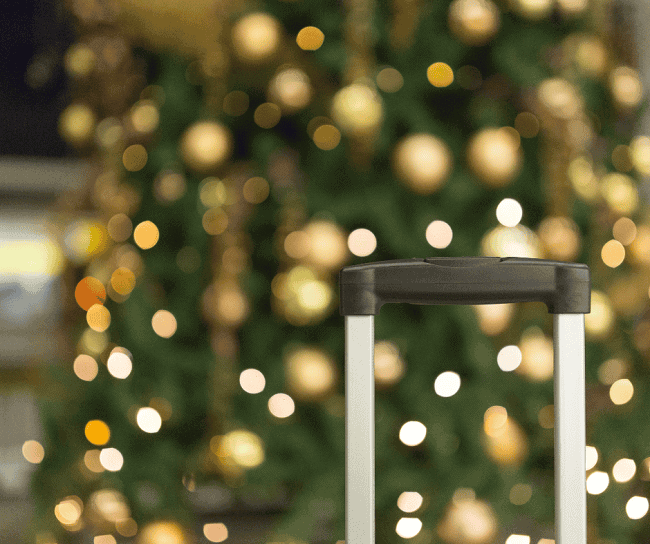 Holiday Travel and Estate Planning: How to Prepare for the Unexpected